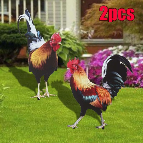 Rooster hen chicken - 2,